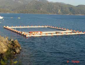piattaforma galleggiante per allevamento pesci in mare