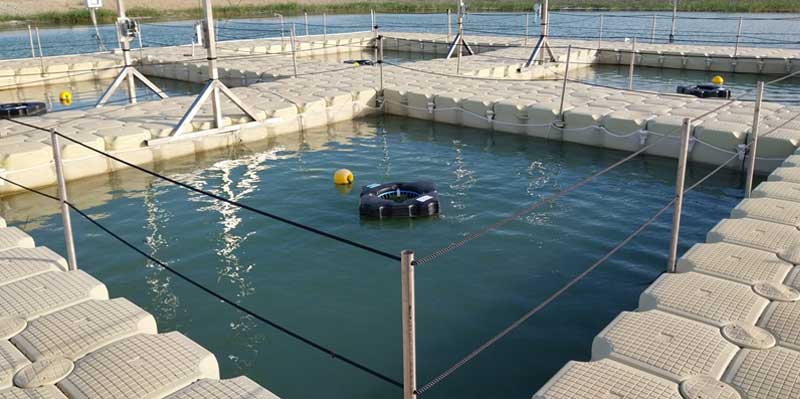 Pontile galleggiante per impianti di itticoltura e acquacoltura